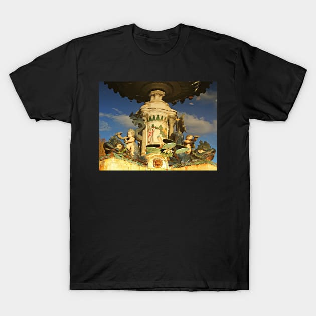 Taunton Fountain Reflected T-Shirt by AlexaZari